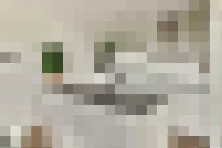 Buxushaag 40 Voorhout thumbnail 6