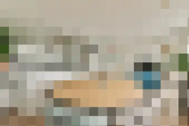 Buxushaag 40 Voorhout thumbnail 7