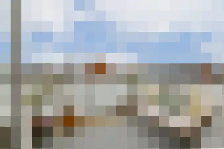 Buxushaag 40 Voorhout thumbnail 9