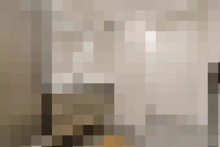 Buxushaag 42 Voorhout thumbnail 14