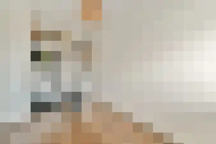 Buxushaag 42 Voorhout thumbnail 17