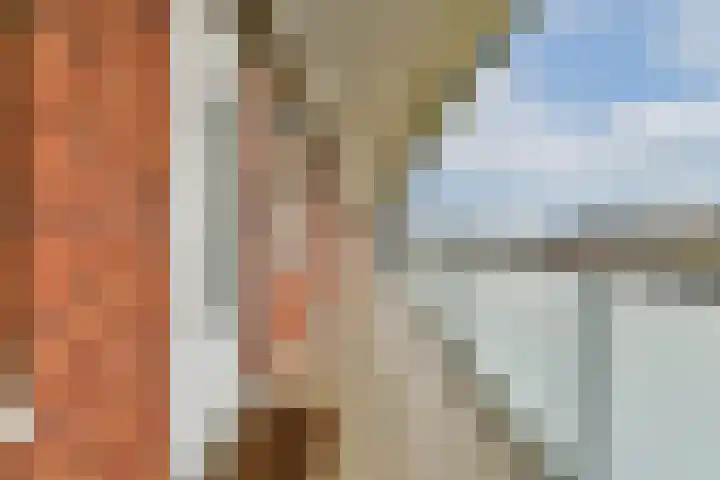 Buxushaag 42 Voorhout thumbnail 19