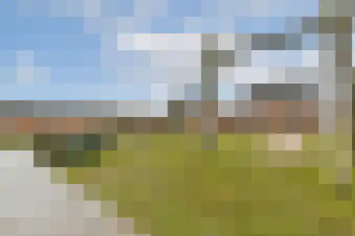 Buxushaag 42 Voorhout thumbnail 22