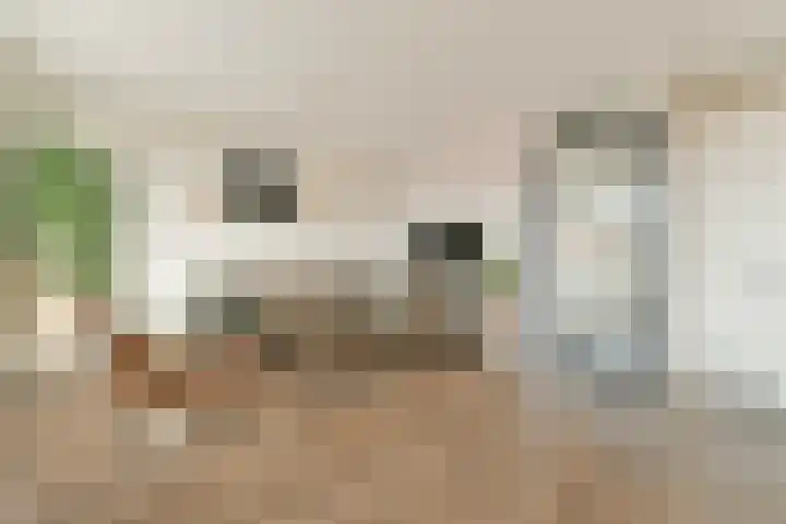 Buxushaag 42 Voorhout thumbnail 4