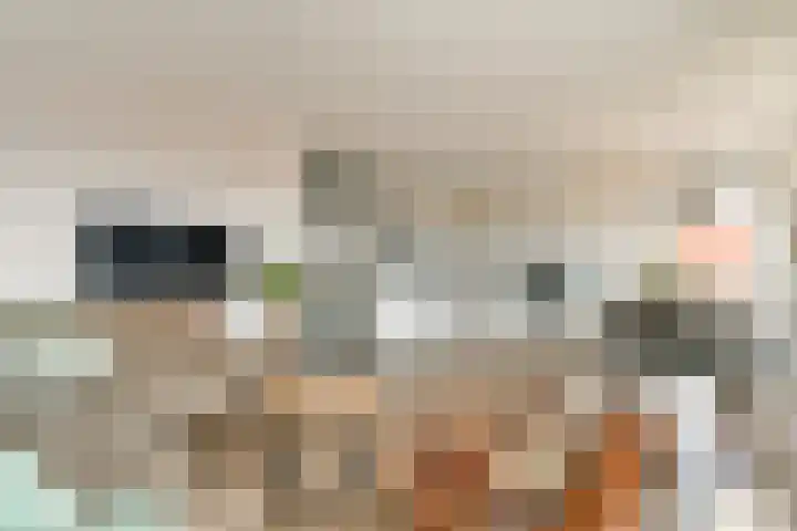 Buxushaag 42 Voorhout thumbnail 5
