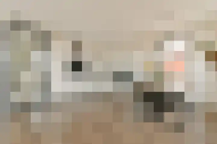 Buxushaag 42 Voorhout thumbnail 6