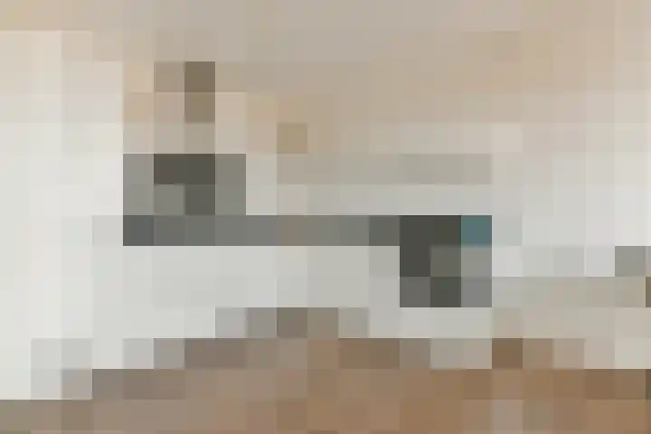 Buxushaag 42 Voorhout thumbnail 7