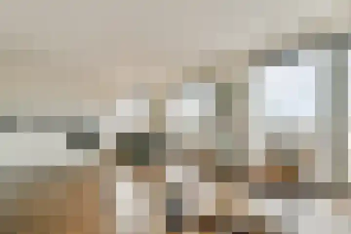 Buxushaag 42 Voorhout thumbnail 8