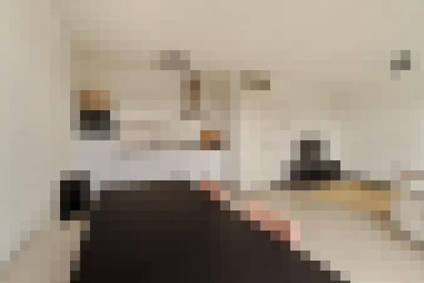 Buxushaag 72 Voorhout thumbnail 15