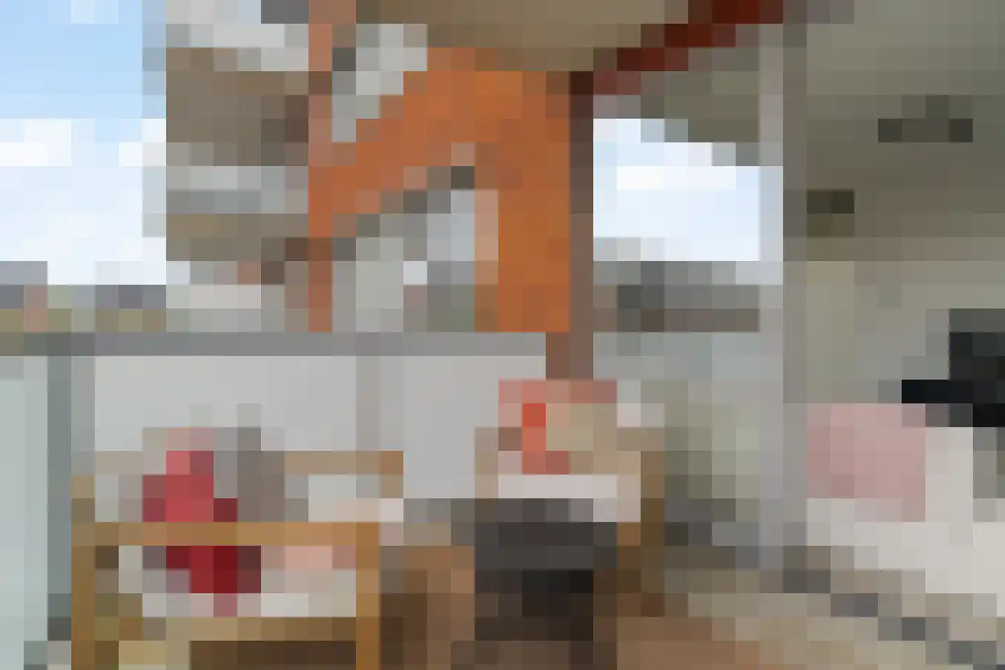 Buxushaag 72 Voorhout thumbnail 31