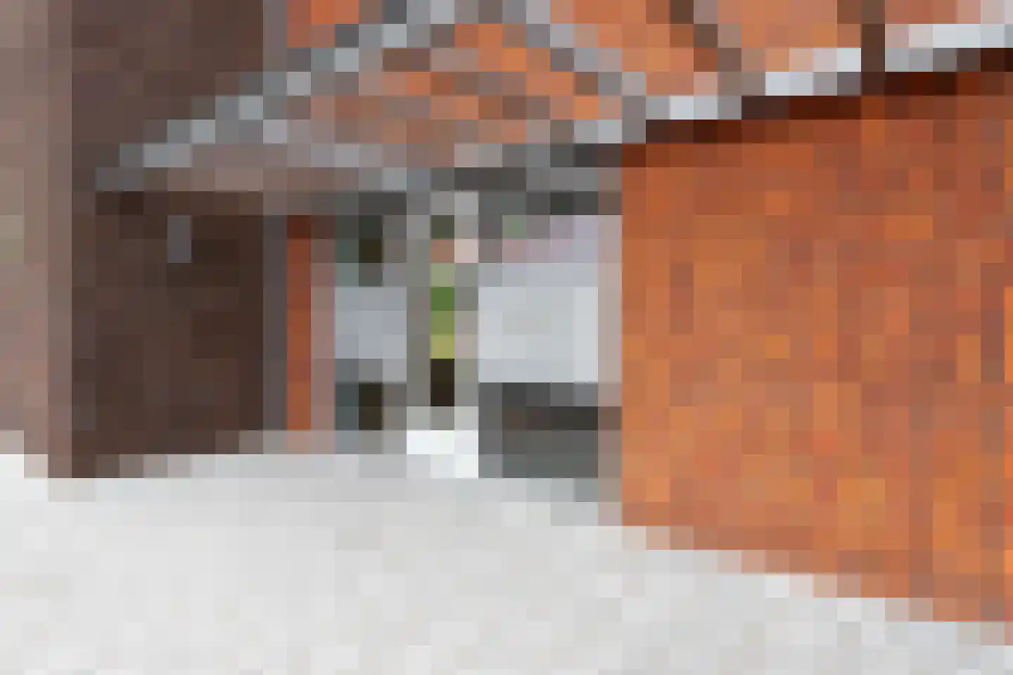 Buxushaag 72 Voorhout thumbnail 5