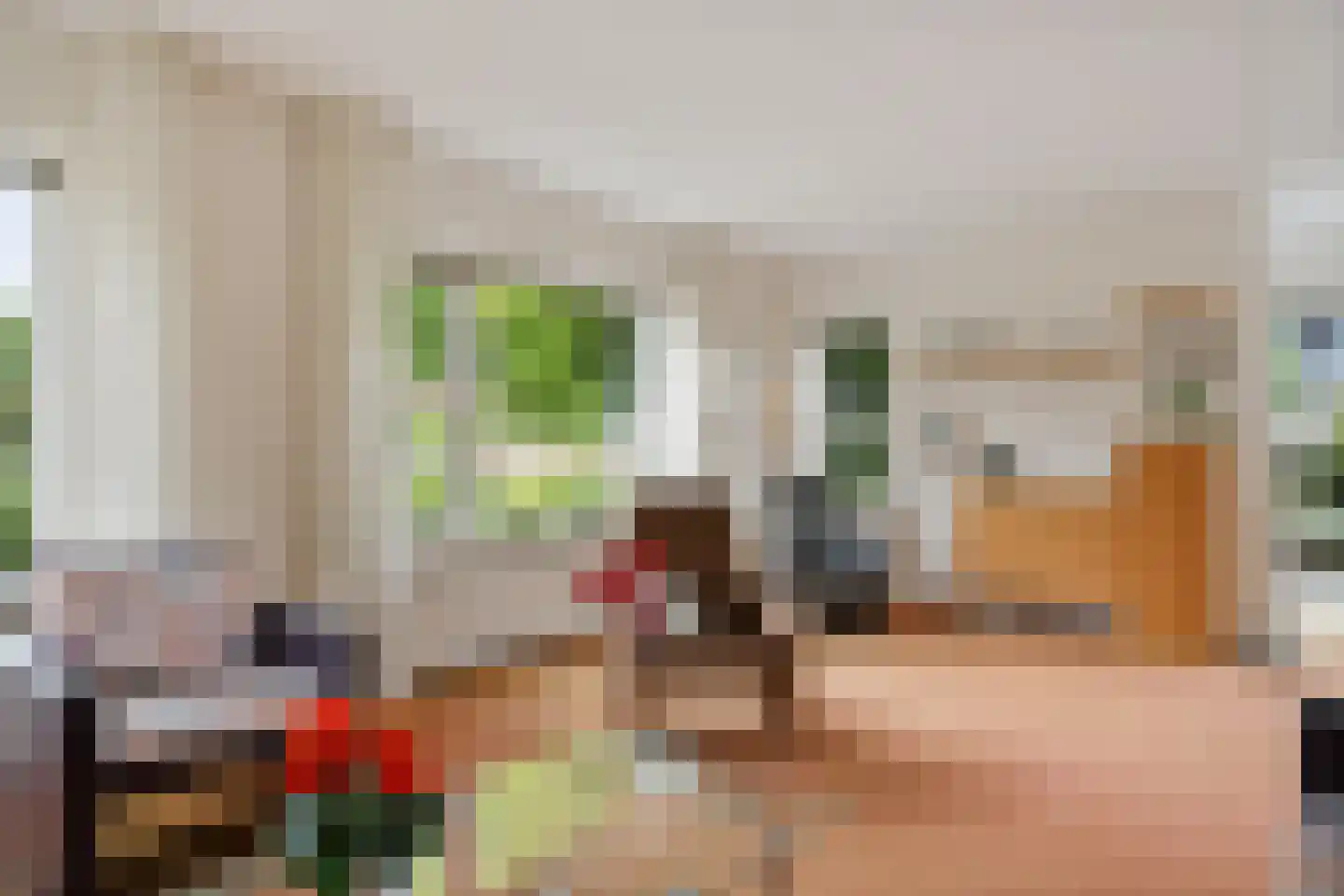 Buxushage 1 Assen thumbnail 10