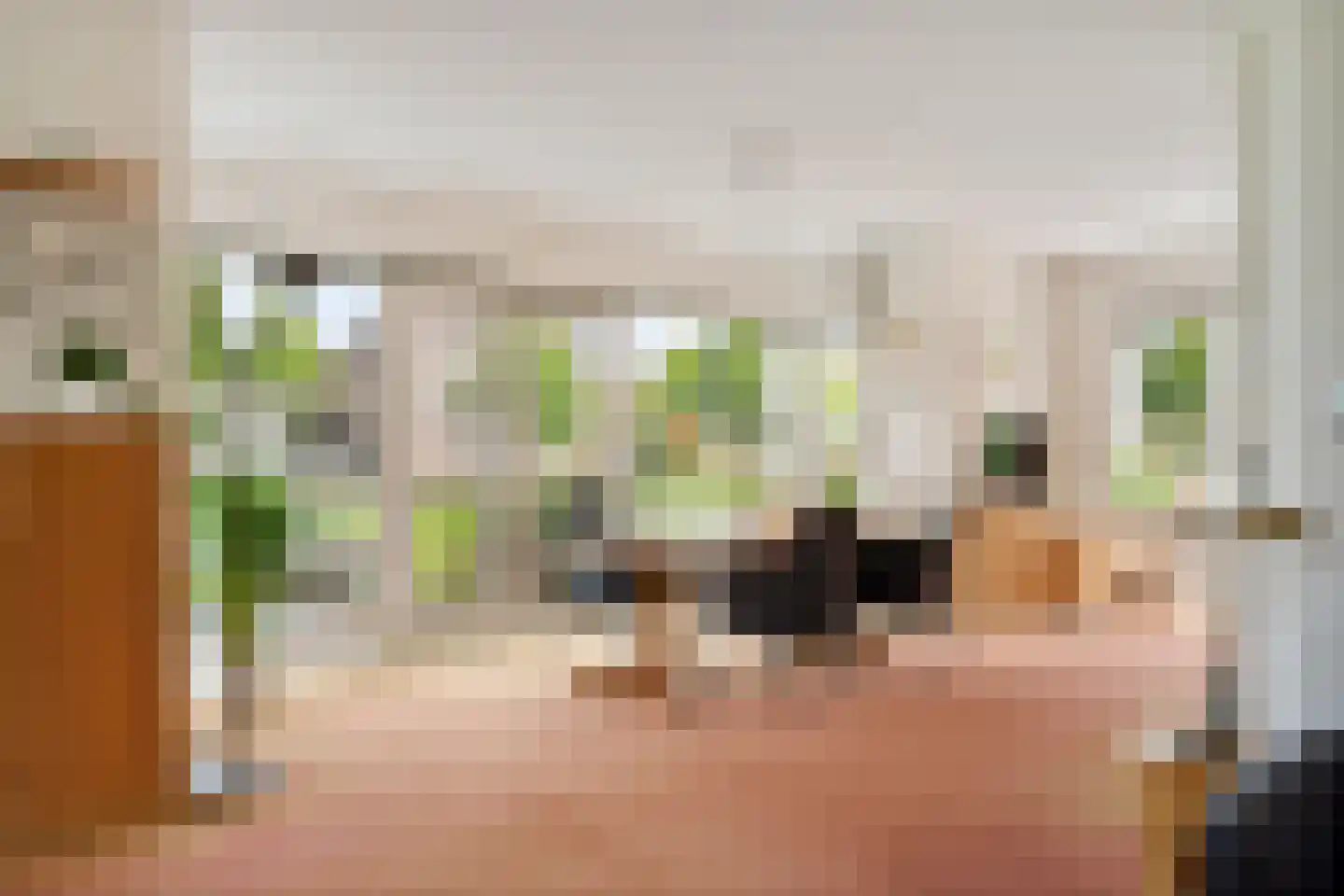 Buxushage 1 Assen thumbnail 12