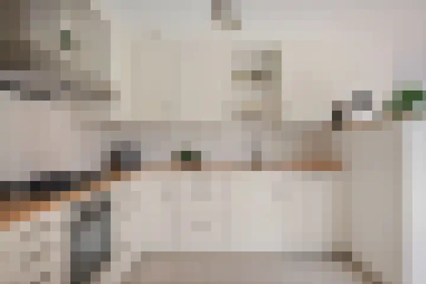 Buxushage 1 Assen thumbnail 15