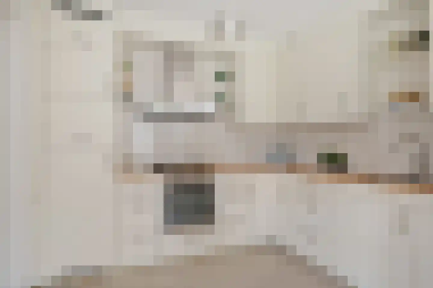 Buxushage 1 Assen thumbnail 16