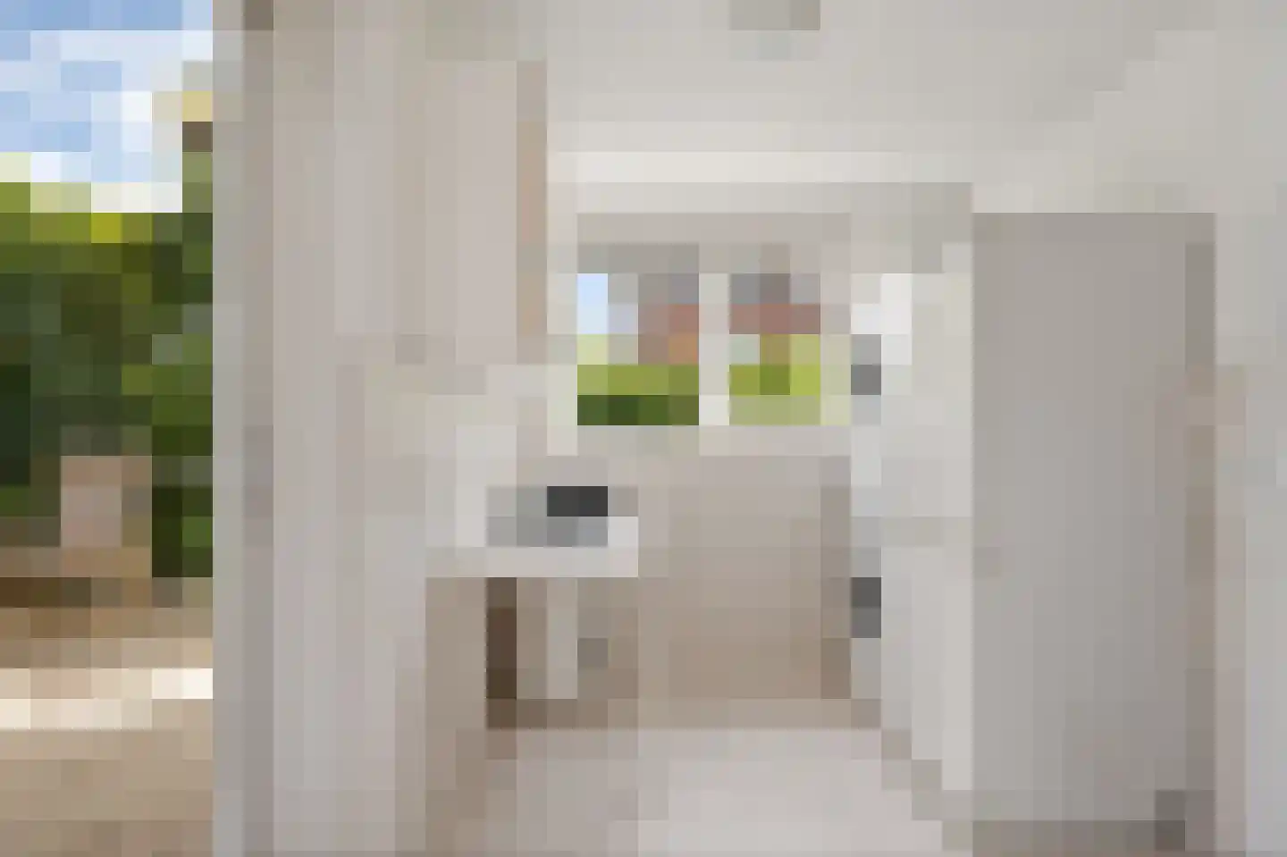 Buxushage 1 Assen thumbnail 17