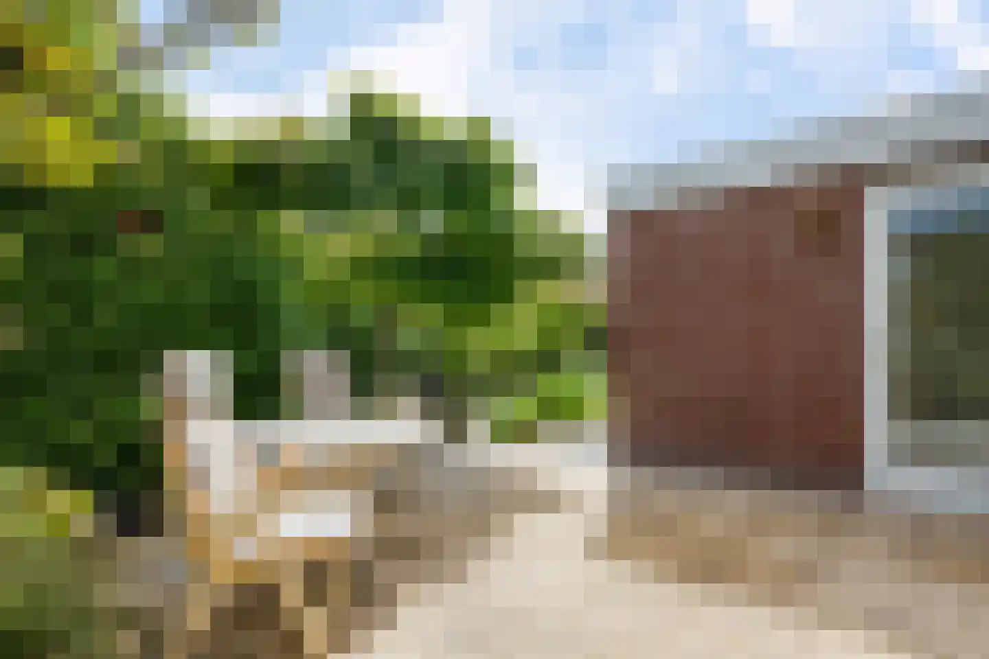 Buxushage 1 Assen thumbnail 24