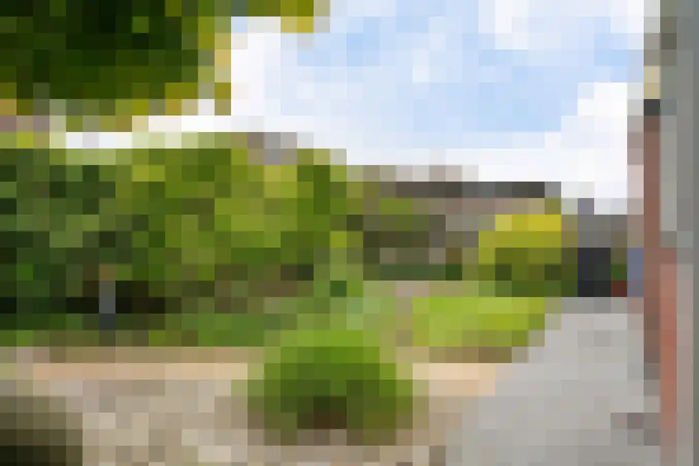 Buxushage 1 Assen thumbnail 25
