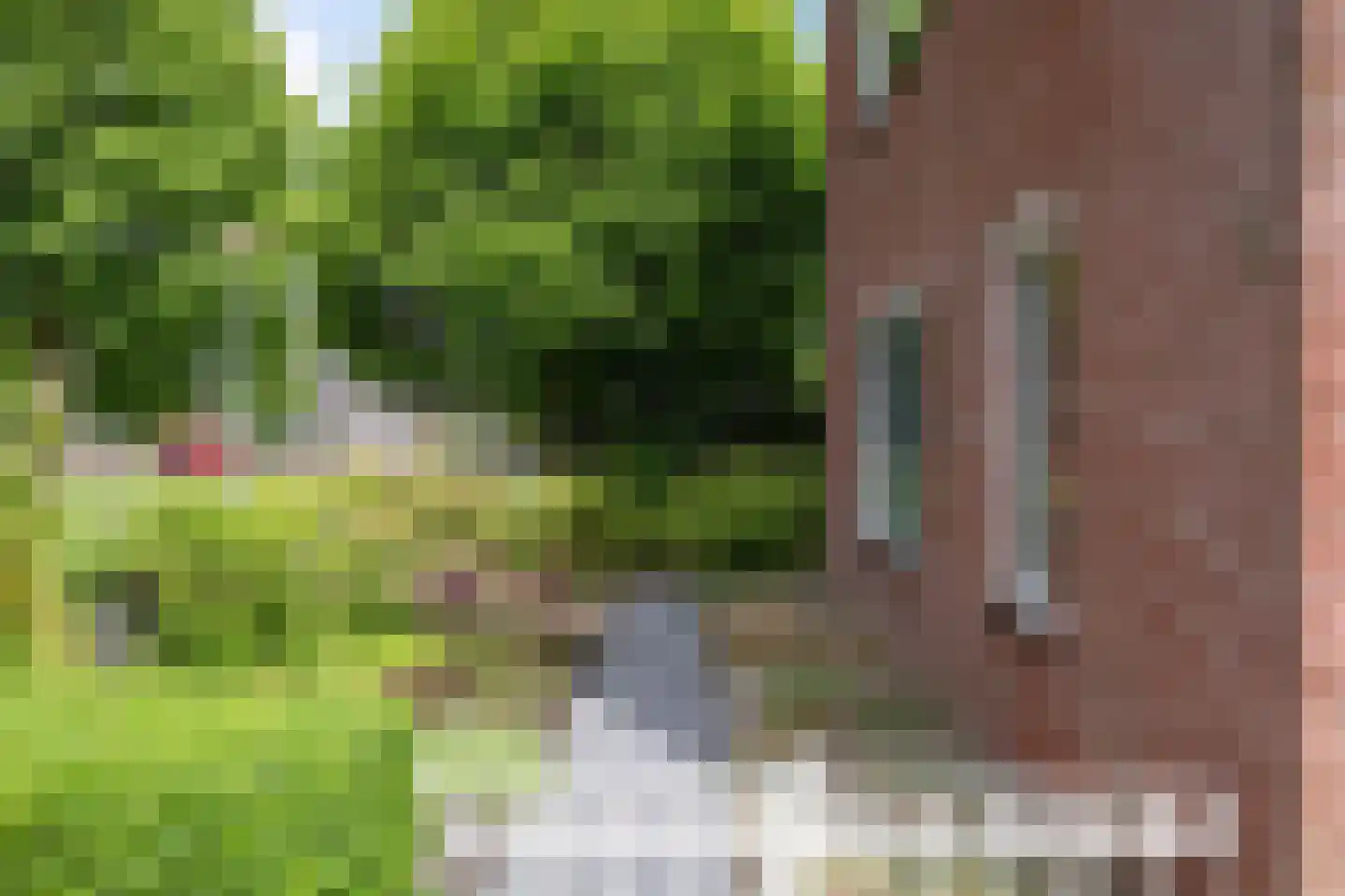 Buxushage 1 Assen thumbnail 28
