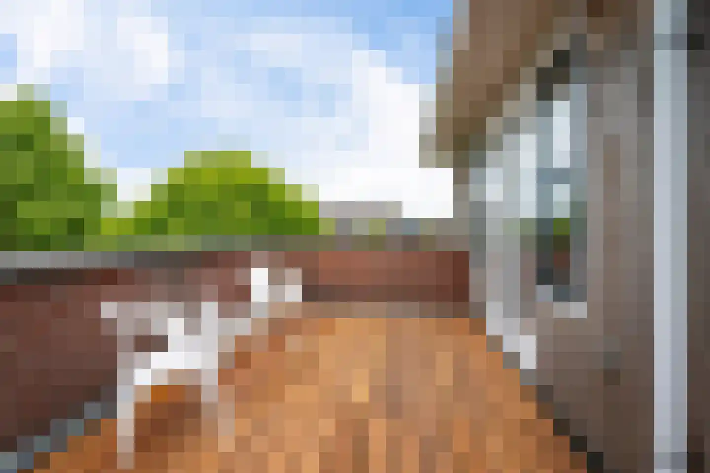 Buxushage 1 Assen thumbnail 42