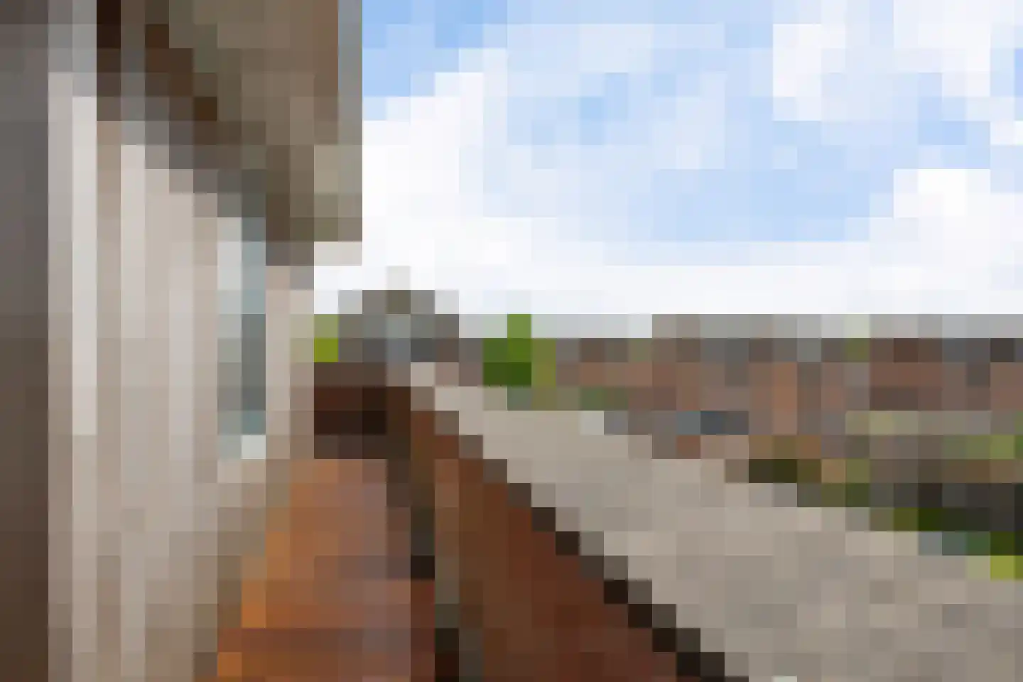 Buxushage 1 Assen thumbnail 43