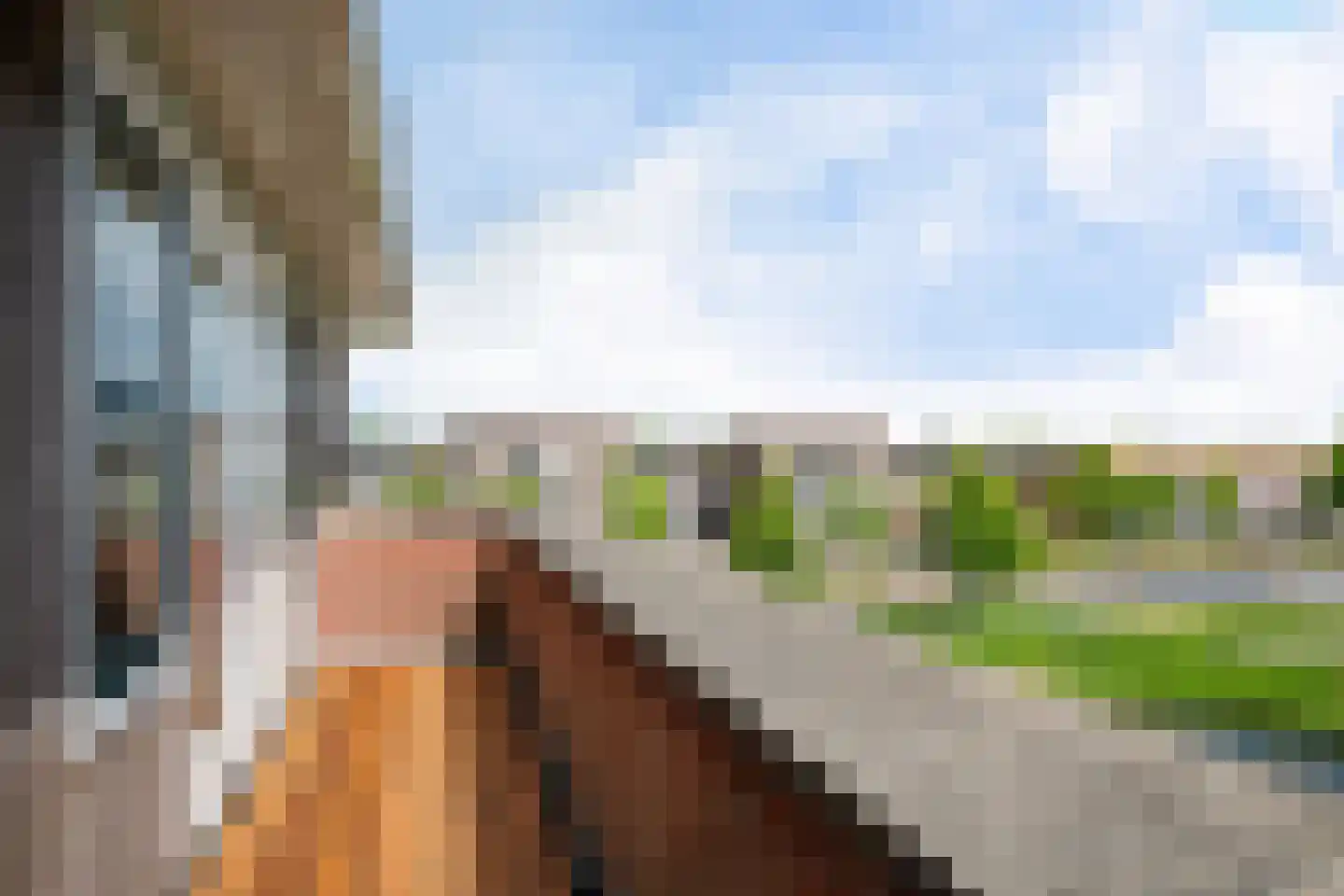 Buxushage 1 Assen thumbnail 44