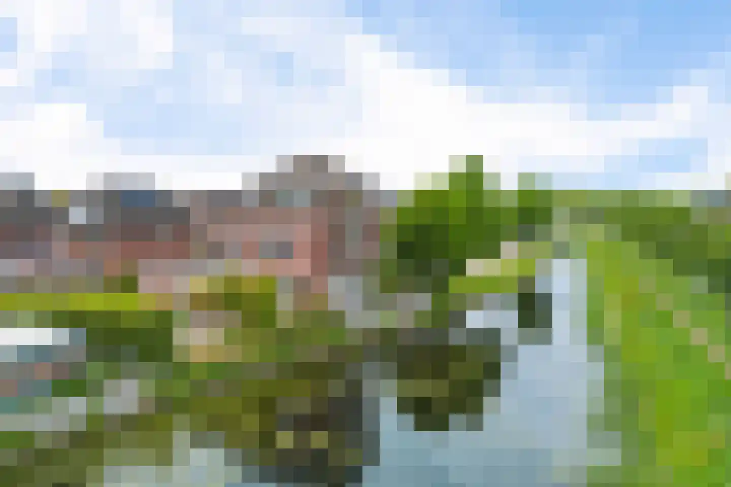 Buxushage 1 Assen thumbnail 46