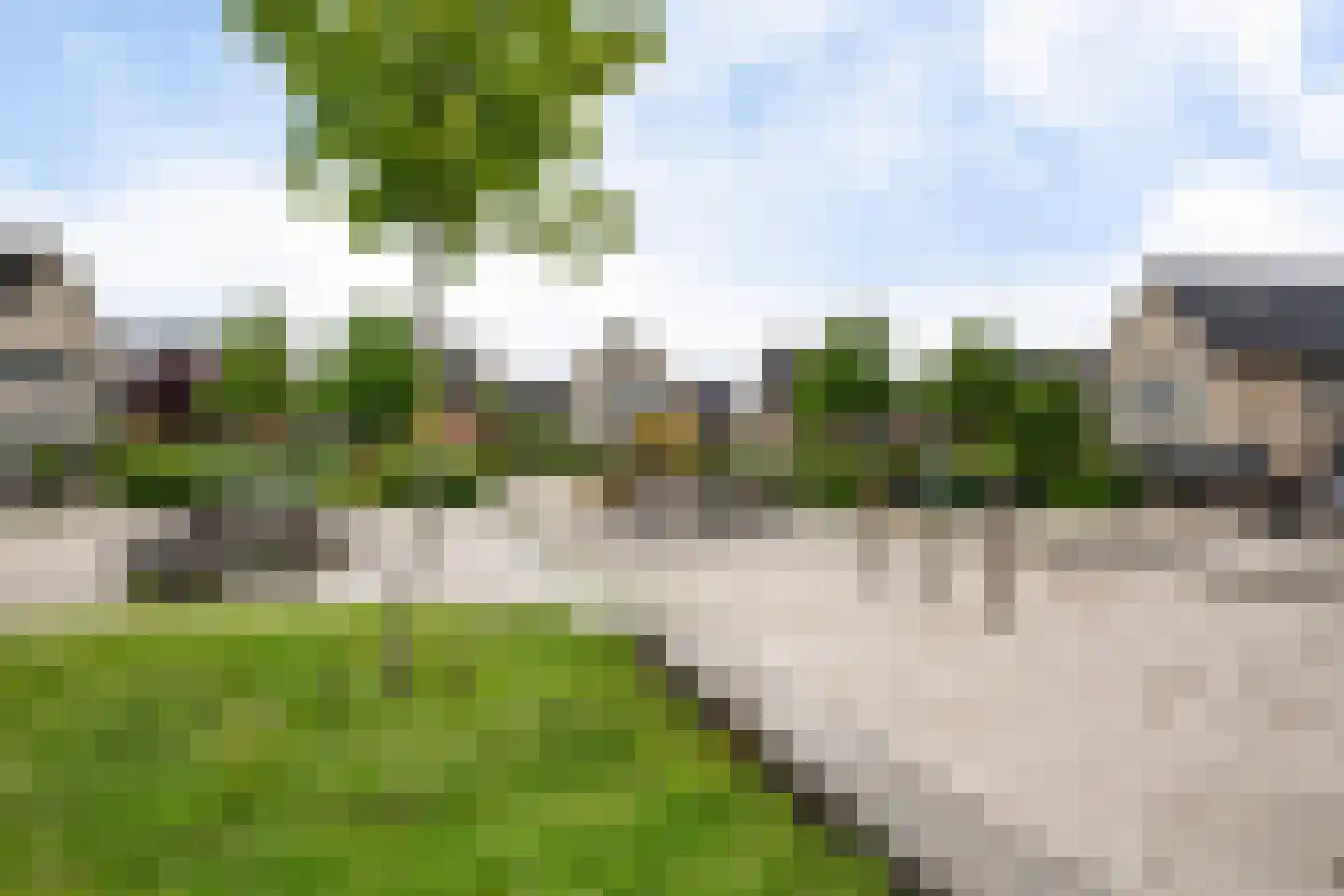 Buxushage 1 Assen thumbnail 49