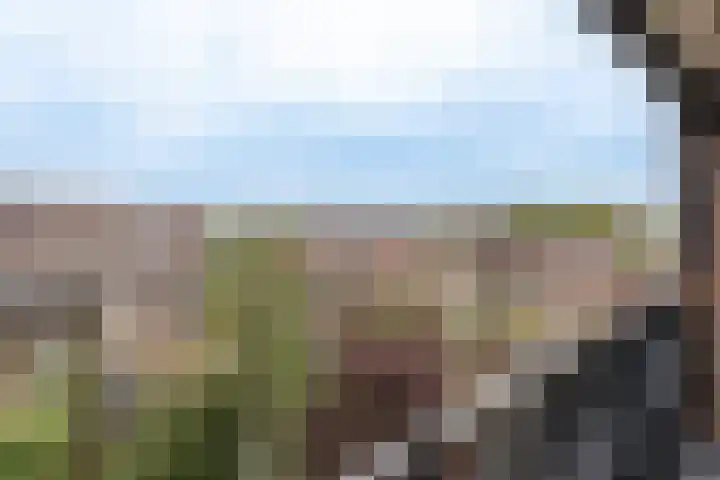 Buxusplaats 75 Tilburg thumbnail 24