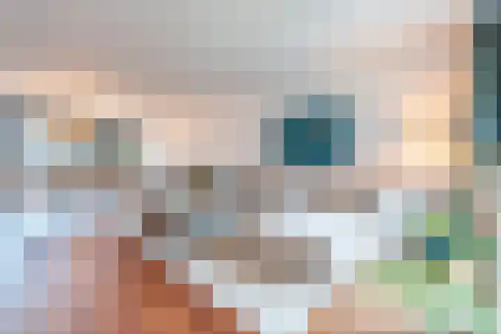 Buxusplaats 75 Tilburg thumbnail 32