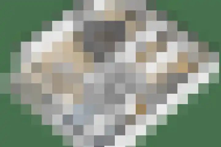 Buxusplaats 75 Tilburg thumbnail 35