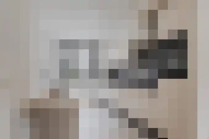 Buxusplaats 95 Tilburg thumbnail 5