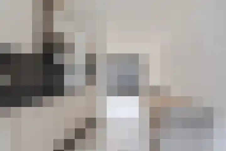Buxusplaats 95 Tilburg thumbnail 6