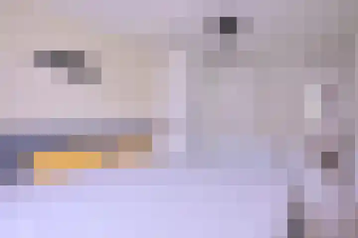 Buyinkstraatje 1 Brummen thumbnail 12