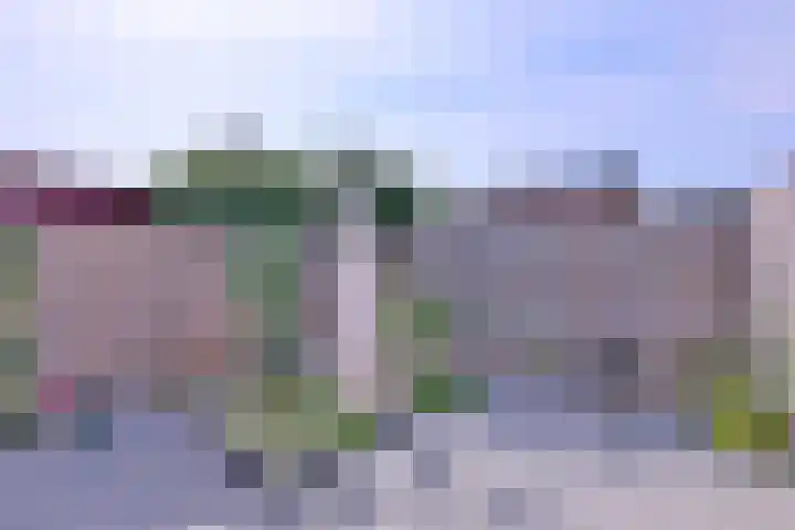 Buyinkstraatje 1 Brummen thumbnail 28