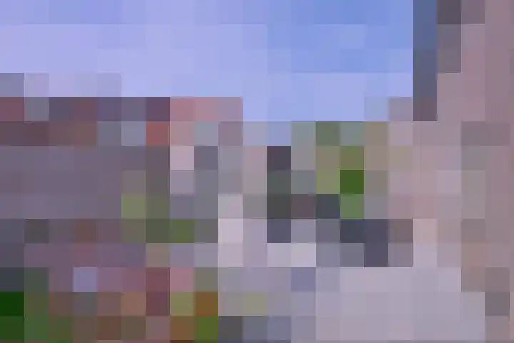 Buyinkstraatje 1 Brummen thumbnail 29