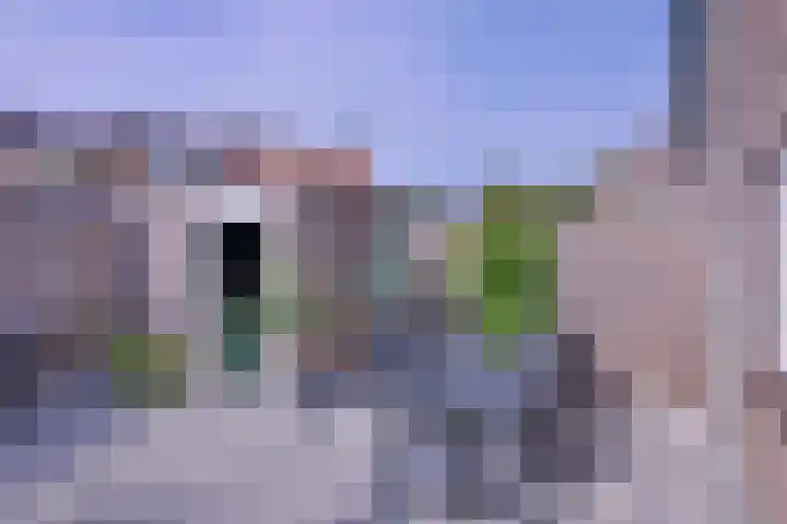 Buyinkstraatje 1 Brummen thumbnail 30