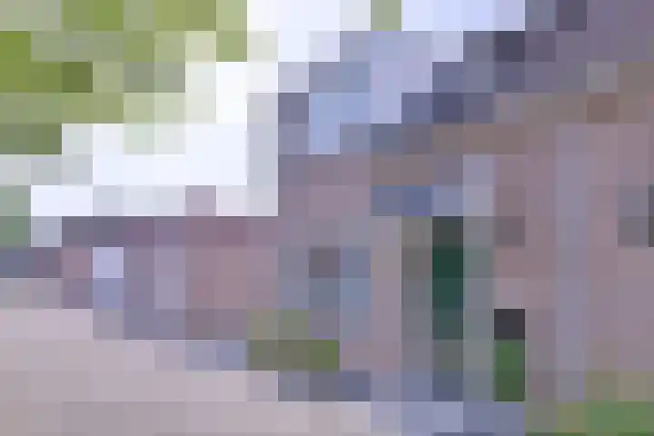 Buyinkstraatje 1 Brummen thumbnail 31
