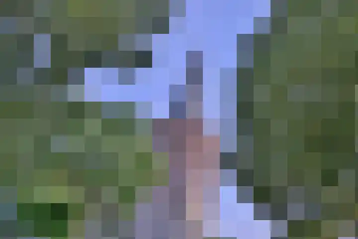 Buyinkstraatje 1 Brummen thumbnail 34