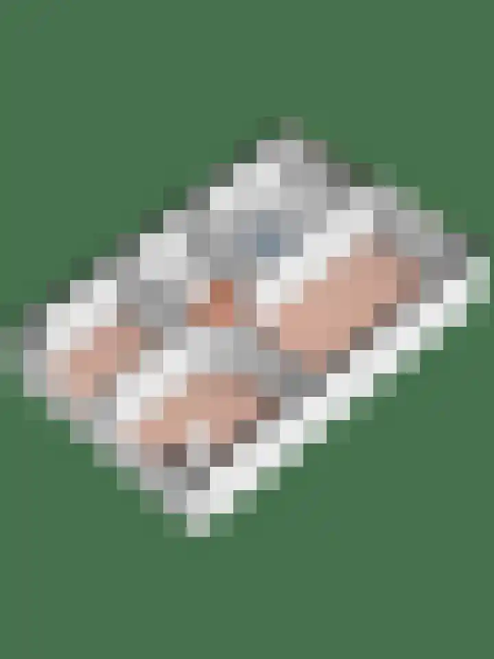Buyinkstraatje 1 Brummen thumbnail 41
