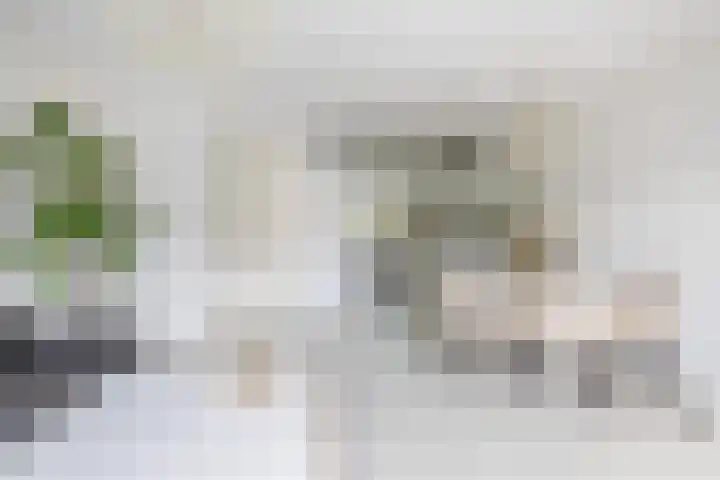 Buys Ballotsingel 11 A Schiedam thumbnail 10