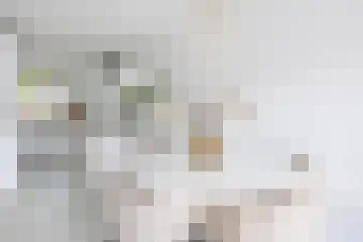 Buys Ballotsingel 11 A Schiedam thumbnail 11