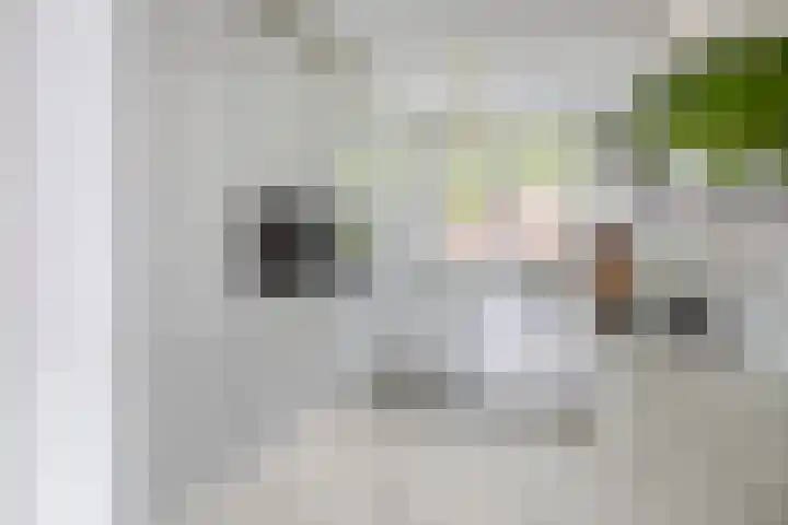 Buys Ballotsingel 11 A Schiedam thumbnail 12