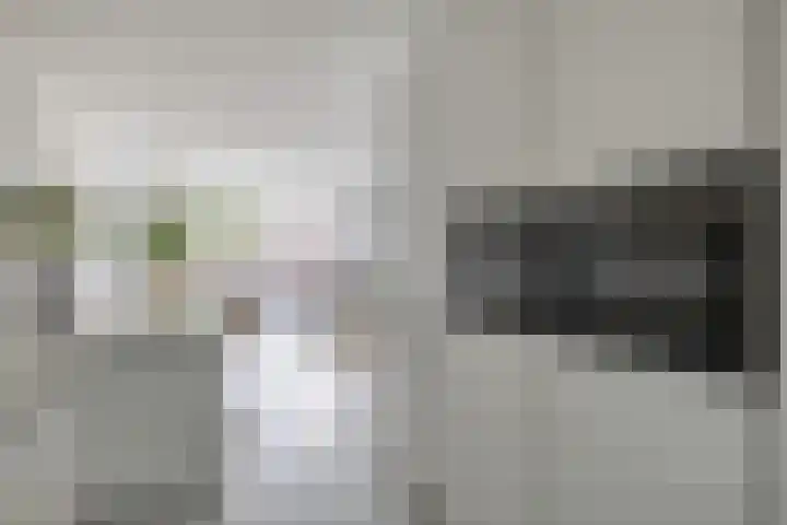 Buys Ballotsingel 11 A Schiedam thumbnail 13