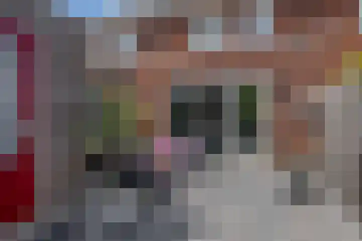Buys Ballotsingel 11 A Schiedam thumbnail 17