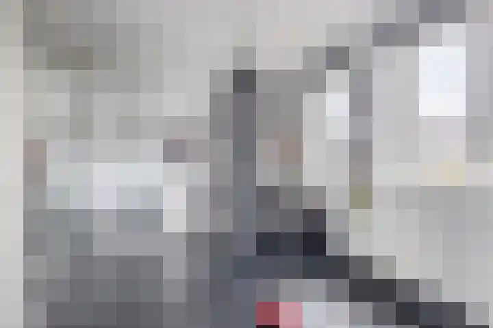 Buys Ballotsingel 11 A Schiedam thumbnail 22