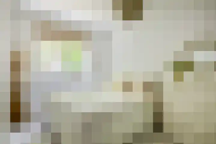 Buys Ballotsingel 11 A Schiedam thumbnail 24