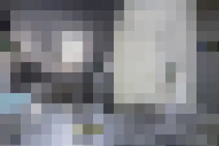 Buys Ballotsingel 11 A Schiedam thumbnail 30