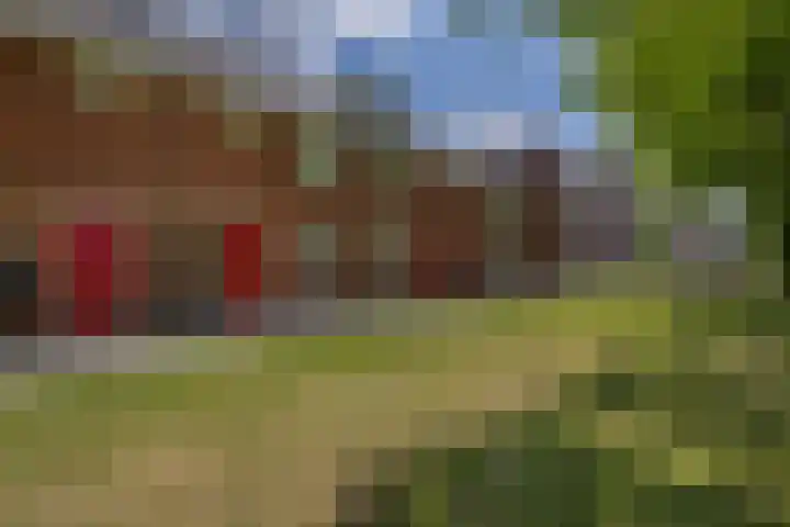 Buys Ballotsingel 11 A Schiedam thumbnail 34
