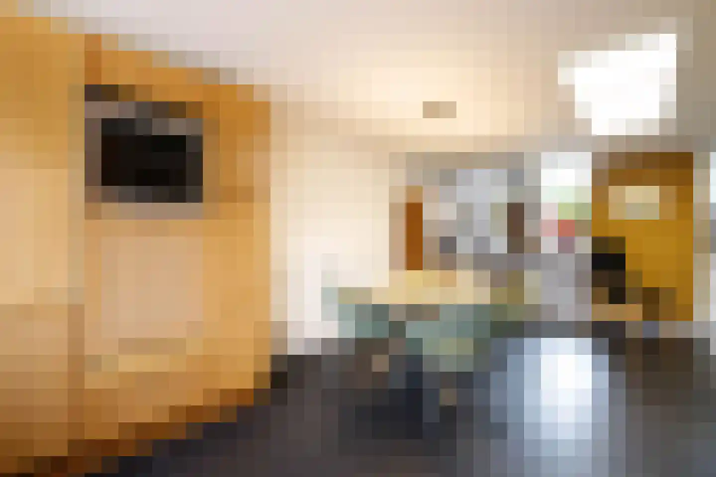 Buys Ballotsingel 15 Schoonhoven thumbnail 12